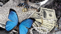 Nature multicolor insects Jewelry