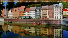 Nature multicolor june