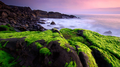 Nature national geographic