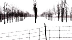 Nature national geographic