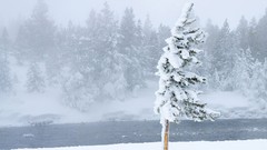 Nature national geographic