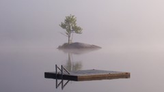 Nature national geographic