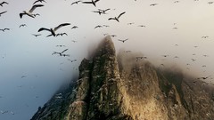 Nature national geographic