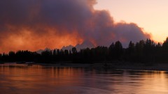 Nature national geographic