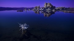 Nature national geographic