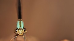 Nature national geographic