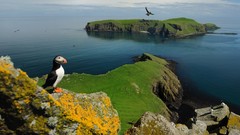 Nature national geographic