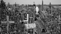 Nature national geographic