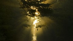 Nature national geographic