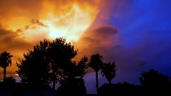 Nature national geographic