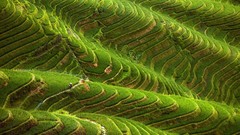 Nature national geographic