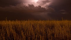 Nature national geographic