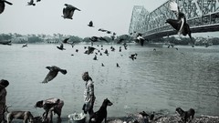 Nature national geographic