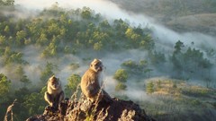 Nature national geographic