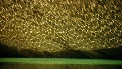 Nature national geographic