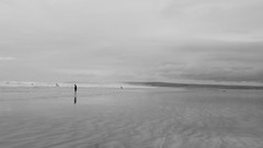 Nature national geographic grayscale