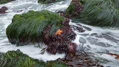 Nature national geographic streams