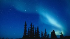 Nature night aurora borealis