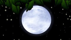 Nature night moon evening