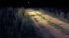 Nature night moon roads scenic