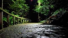 Nature night Parks romania walk