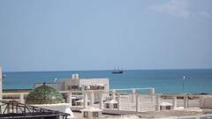 Nature oasis sea of sand modified