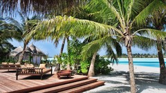 Nature ocean Maldives palm trees resort