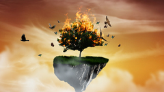 Nature one pain Made This johnnie drqug