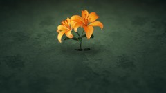 Nature orange flowers