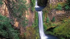 Nature Oregon waterfalls falls