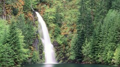 Nature Oregon waterfalls forests National