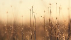Nature outdoors argentina ushuaia
