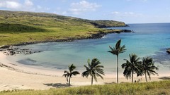 Nature palm trees Sea