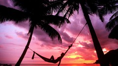 Nature paradise hammock palm trees silhouettes relaxing