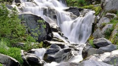 Nature paradise waterfalls national park Mount Rainier