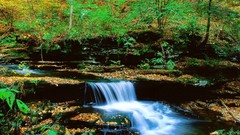 Nature Park waterfalls Pennsylvania state