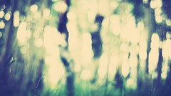 Nature photo filters