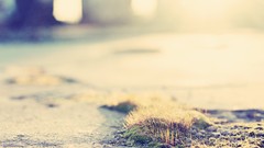 Nature photo filters