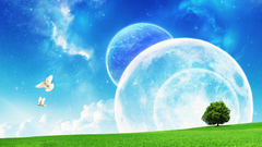 Nature Photo manipulation