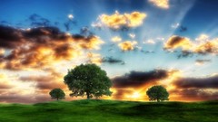 Nature Photo manipulation