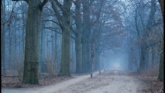 Nature Photographers 2009