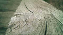 Nature Photographers