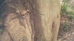 Nature Photographers