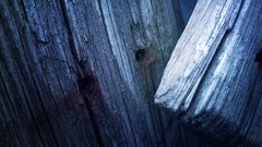 Nature Photographers