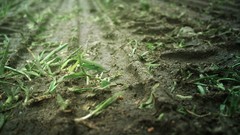 Nature Photographers