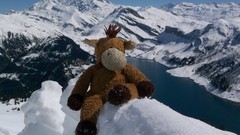 Nature Photographers