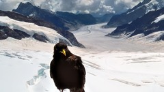 Nature Photographers