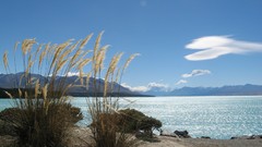 Nature Photographers