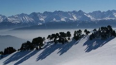 Nature Photographers