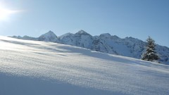 Nature Photographers